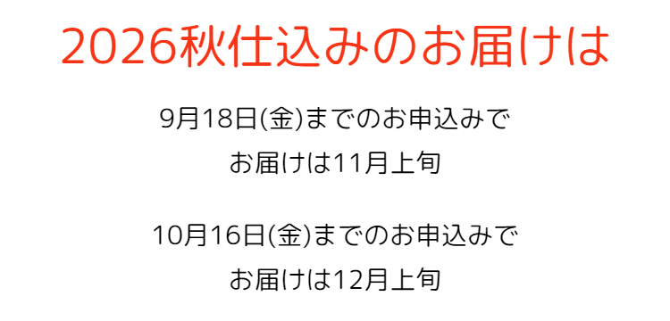これは旨い。ひんぎゃの塩で握ったおにぎり